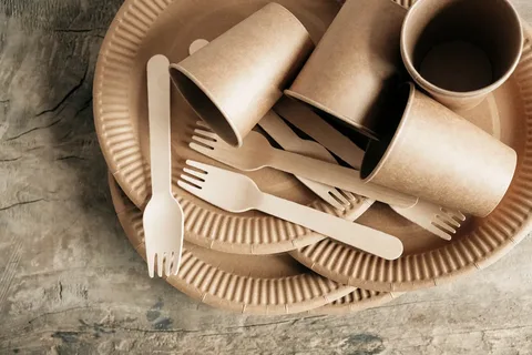 ظرف بامبو گیاهی طول عمر بالا و دوام مطمئن